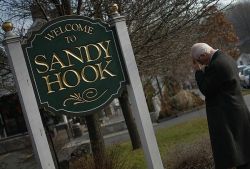 Sandy Hook Strike Zone